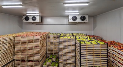 OZONLAMA İLE PESTİSİT GİDERİMİ