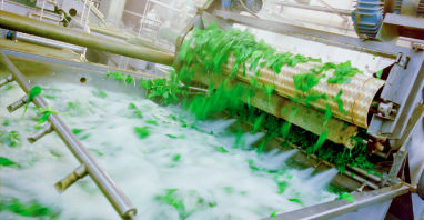 OZONLAMA İLE PESTİSİT GİDERİMİ